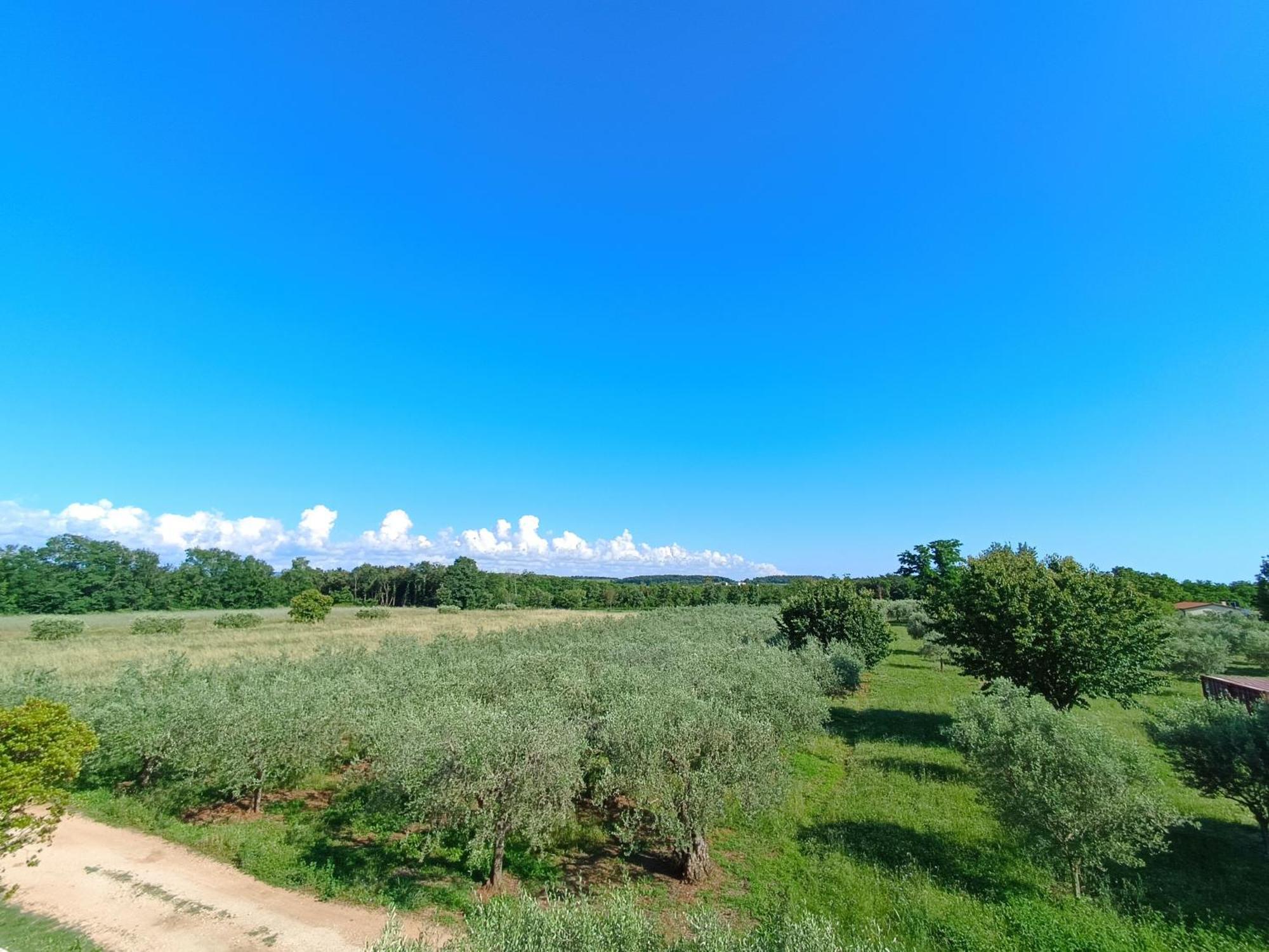 Apartman Ika Umag Exterior photo